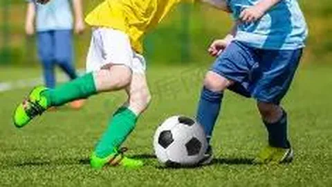 黄晓明博士考试未果